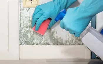 Miami Beach Emergency Restoration Miami Beach, FL 786-338-9095 - service