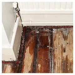 Miami Beach Emergency Restoration Miami Beach, FL 786-338-9095 Miami Beach Emergency Restoration Miami Beach, FL 786-338-9095