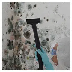 Miami Beach Emergency Restoration Miami Beach, FL 786-338-9095 Miami Beach Emergency Restoration Miami Beach, FL 786-338-9095