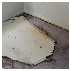 Miami Beach Emergency Restoration Miami Beach, FL 786-338-9095 Miami Beach Emergency Restoration Miami Beach, FL 786-338-9095